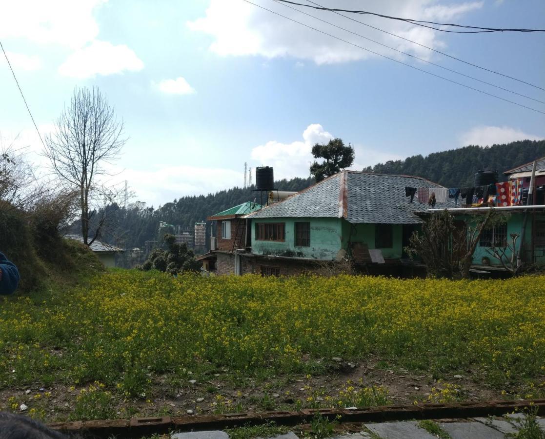 White Rabbit Guest House Dharamshala Exteriör bild