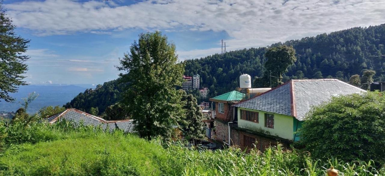 White Rabbit Guest House Dharamshala Exteriör bild